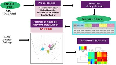 Targeting Metabolic Deregulation Landscapes in Breast Cancer Subtypes